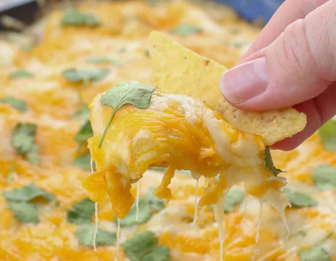 Minute Green Chile Enchiladas: Quick Family Dinner
